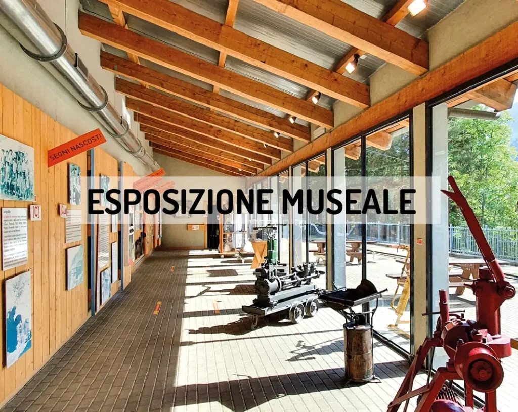 Bottone esposizione museale
